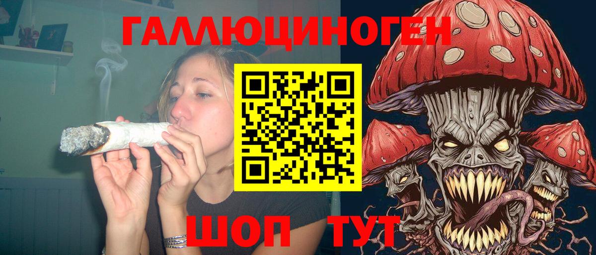 Галлюциногенные грибы GOLDEN TEACHER  Жигулёвск  Псилоцибиновые грибы Psilocybe 