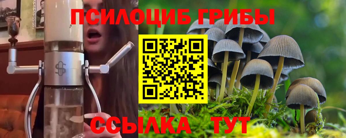 Псилоцибиновые грибы Magic Shrooms Жигулёвск